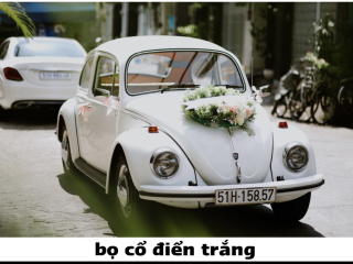Cho Thuê Xe Hoa Cưới Trọn Gói – Xe Sang, Trang Trí Đẹp, Giá Hợp Lý